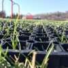 Playground safety grass mats close up