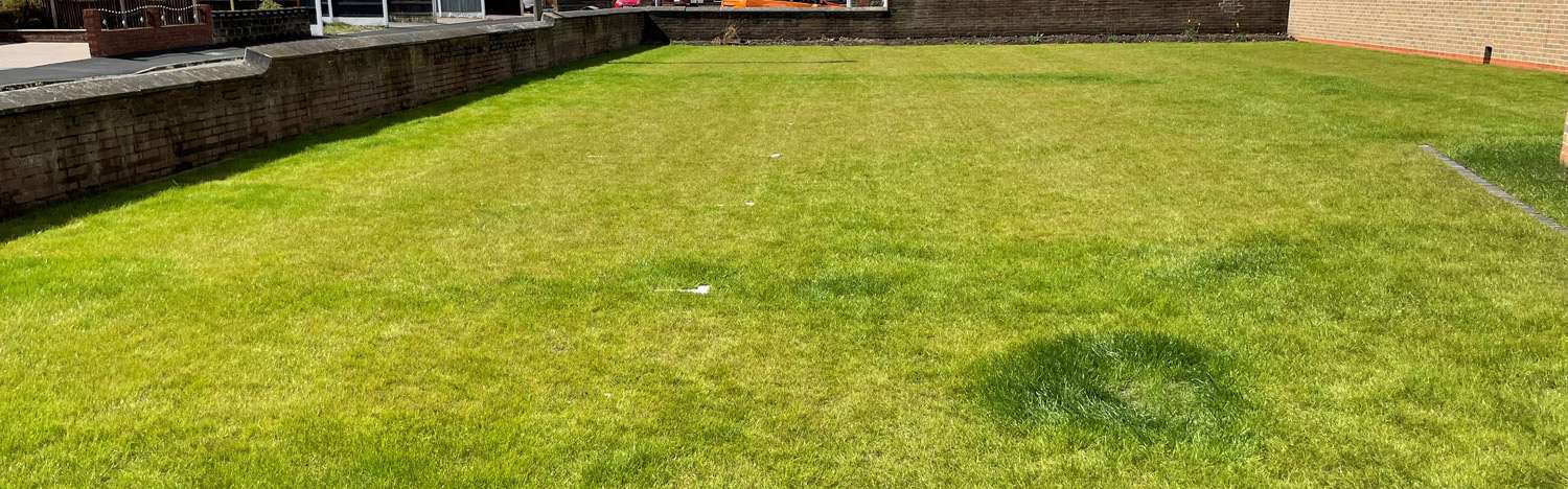 Bodpave 85 Grass Parking at St Francis of Assisi Church