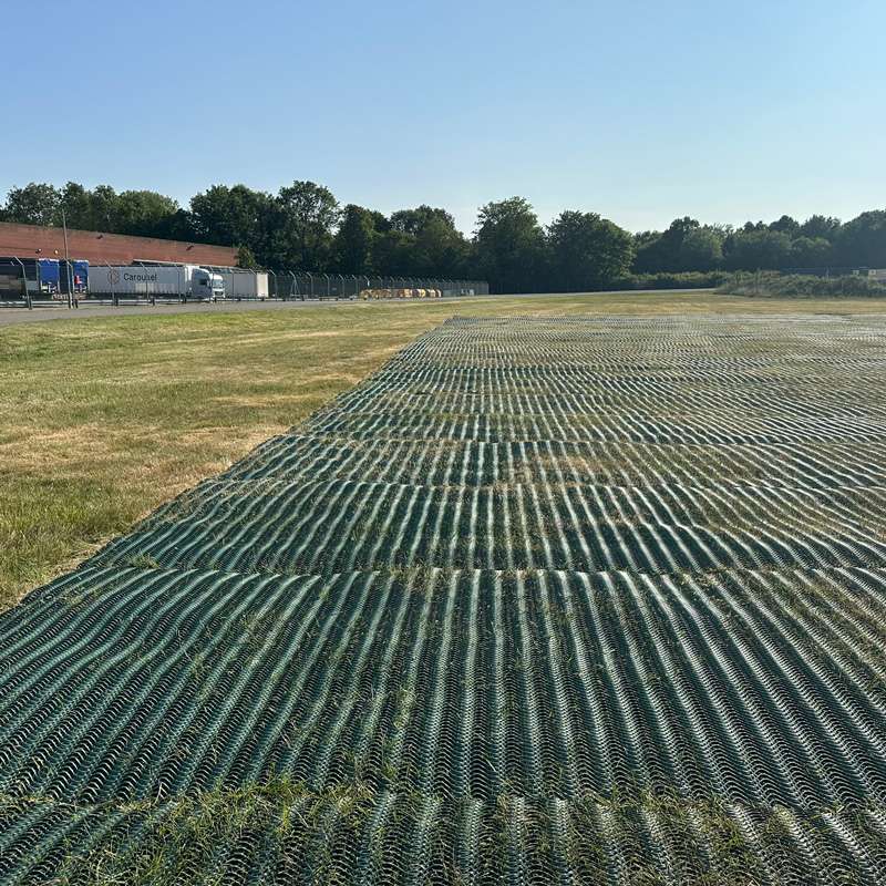 View looking down the grass parking lane with mesh visible across its full length and tree line in the background.