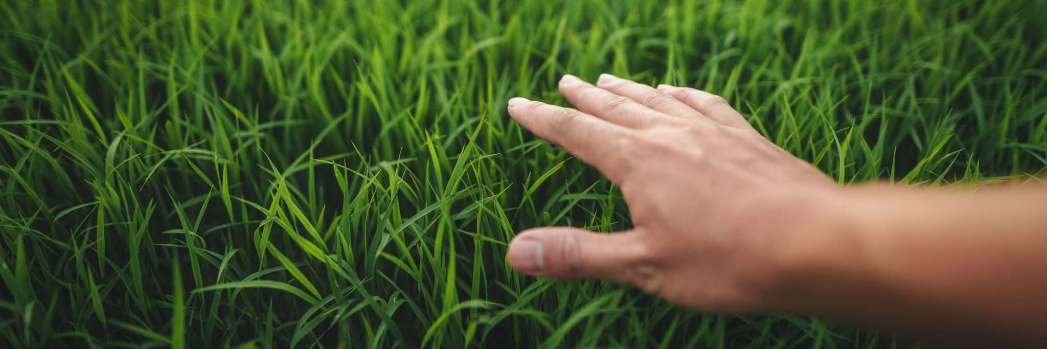 Should I Buy 16mm or 22mm Rubber Grass Mats?