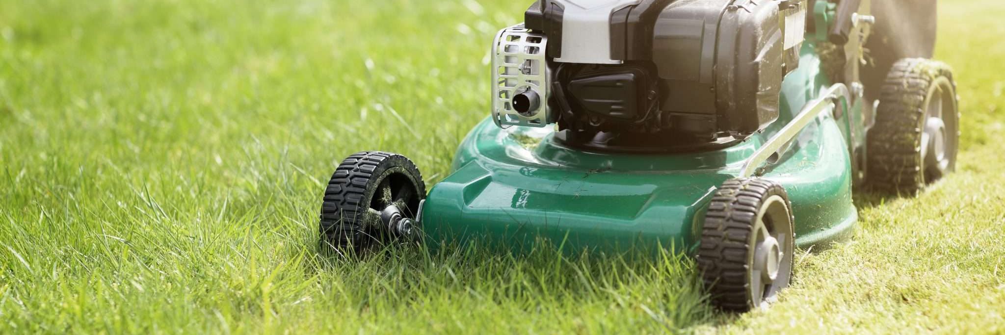 How to Mow your Lawn After Installing Grass Protection Mesh