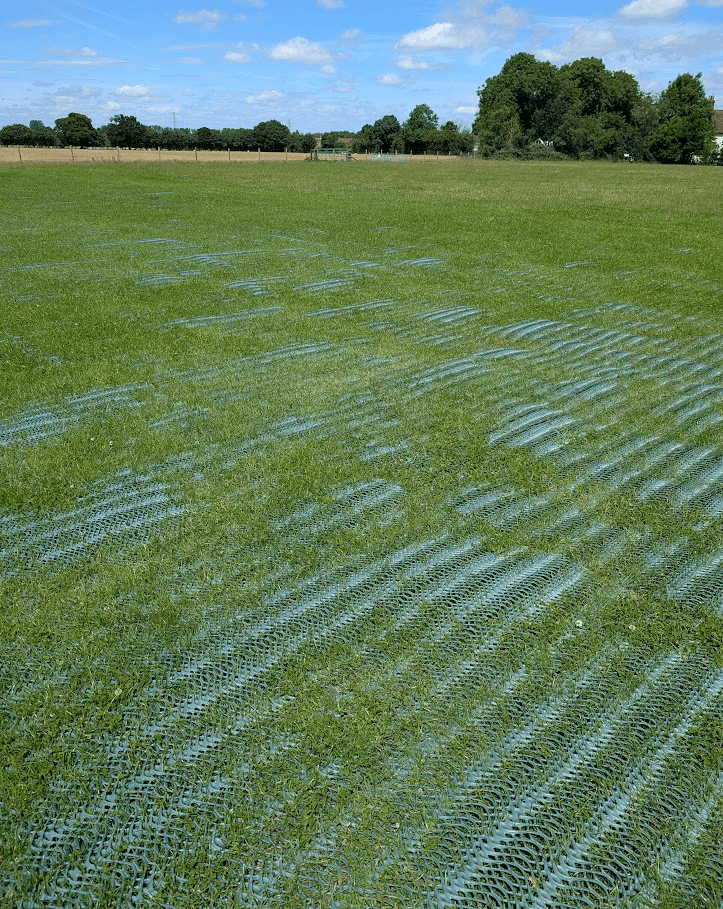 Grass growing through heavy grass reinforcement mesh after installation at Battlers Green Farm
