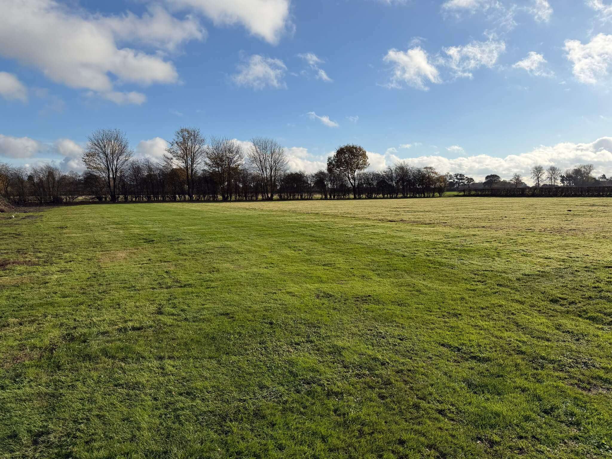 Grass area before heavy grass reinforcement mesh installation at Designer Outlet York