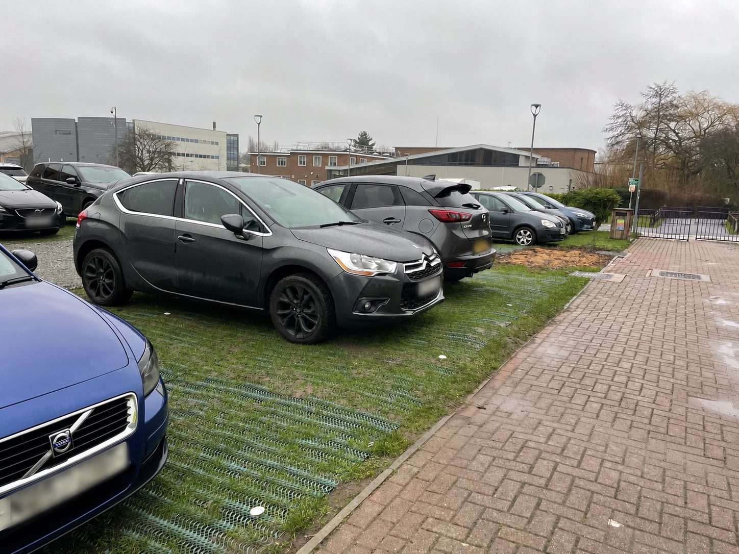 Reinforced grass parking area at Loughborough University with grass visible through the mesh